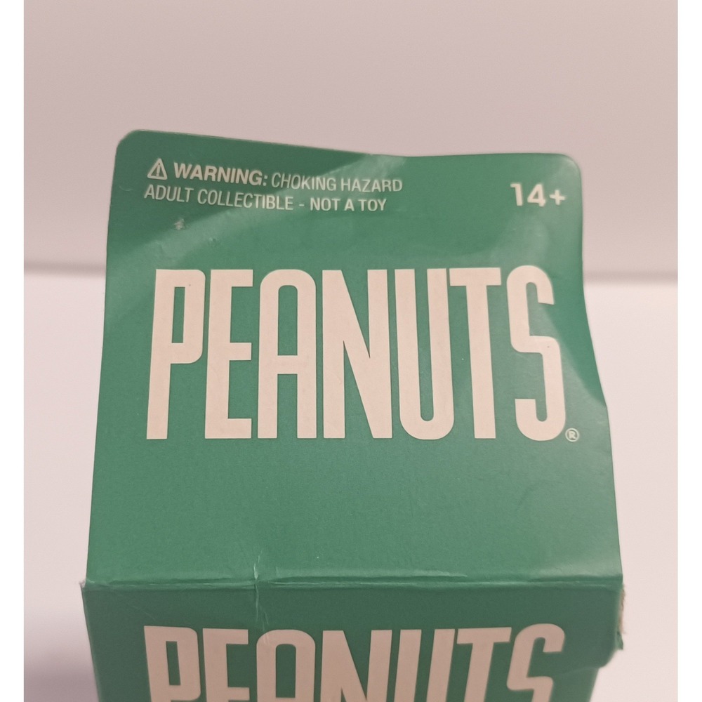 NEW Super7 Peanuts Holiday Franklin Armstrong Blind Box ReAction Figure - Picture 10 of 10